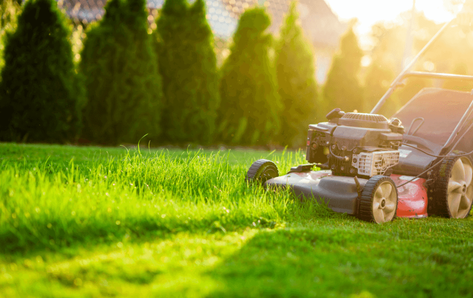 Lawn mower