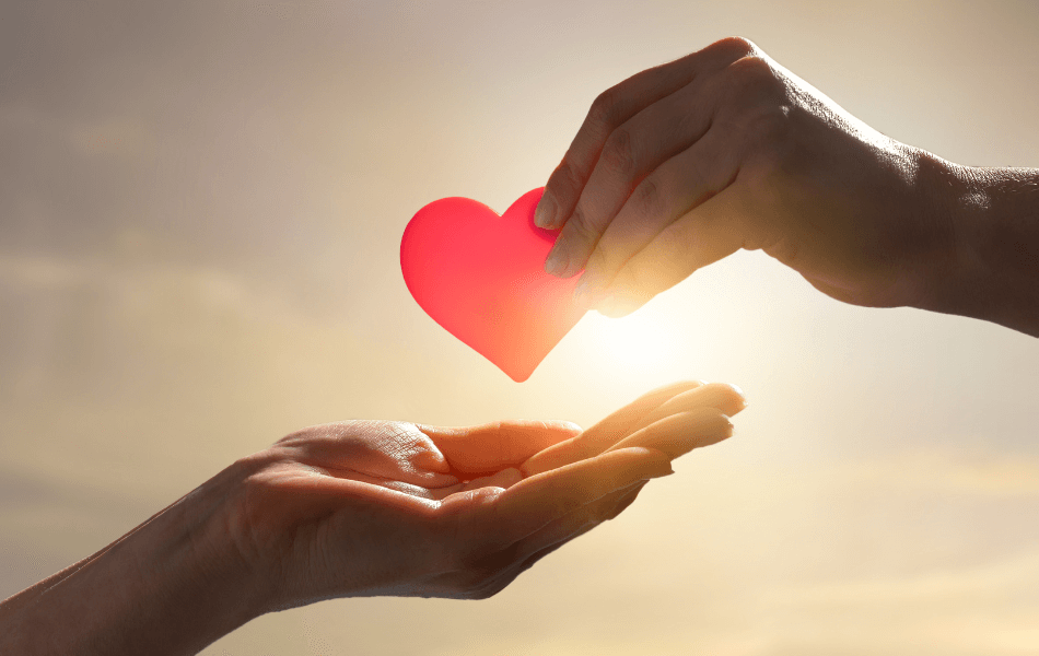 two hands and a heart