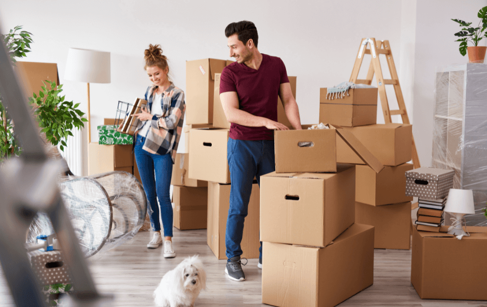 Couple packing boxes together