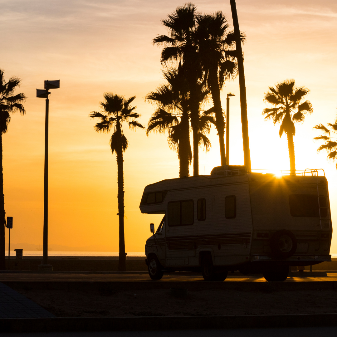 Sunset with palm trees and RV