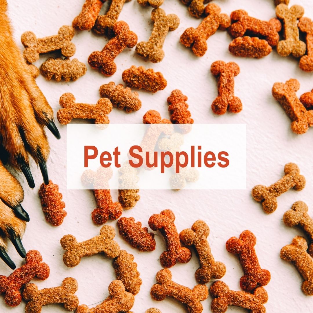dog treats on floor beside dog paws | Pet Supplies