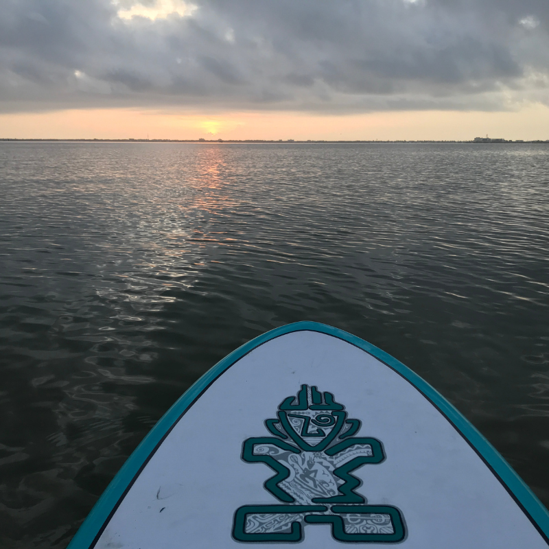 Su rise from a paddle board with tiki print 